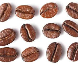 'Close up of coffee beans on white background. This file is cleaned, retouched and contains'