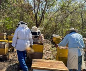 <i>FOTO paismype.com</i>