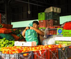<i>Los alimentos, bebidas no alcohólicas y combustibles continúan siendo los principales factores que determinan el comportamiento de la inflación. Foto de cortesía</i>