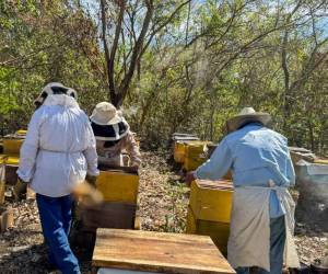 <i>FOTO paismype.com</i>