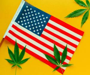 hemp leaves and American flag top view yellow background