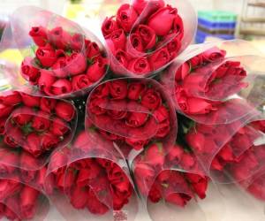 Guatemala exportará más de ocho millones de rosas para celebrar el 14 de febrero de 2023