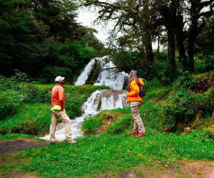 <i>Viajar por tierra permite compartir tiempo, disfrutar del paisaje y comenzar la experiencia desde el primer kilómetro. Foto de cortesía</i>