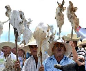 47 millones de latinoamericanos (7,9% de la población) pasan hambre. (Foto: AFP)