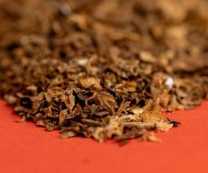 <i>FOTO SHUTTERSCTOCK</i>