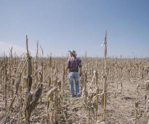 FAO promueve plan de inversión de US$250 Millones en Corredor Seco de Centroamérica