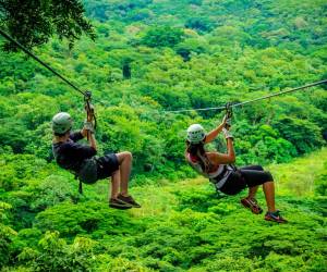 Monteverde Extremo Park