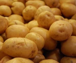 Entre los productos cuyo ingreso al país ha detenido el Servicio Fitosanitario están el aguacate Hass de México y la papa industrial de Estados Unidos y Canadá.