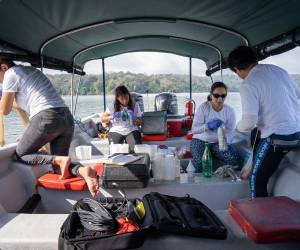 <i>Fotografía del 15 de Marzo de 2023 cedida por el instituto Smithsonian Tropical Research que muestra al equipo del proyecto recolectando y procesando muestras de plancton en el lago Gatún en el Canal de Panamá, en Ciudad de Panamá (Panamá). Científicos panameños han identificado 76 especies de fitoplancton y 39 especies de zooplancton, algunas nunca antes registradas en el Canal de Panamá, abriendo así nuevas vías para detectar cambios ambientales en sus aguas, informa el STRI, con sede en el país centroamericano. EFE/ Ana Endara/ Smithsonian Tropical Research Institute </i>