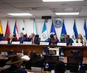 <i>Constituido en octubre de 1991, el Parlacen está integrado actualmente por Guatemala, El Salvador, Honduras, Nicaragua, Panamá y República Dominicana. Foto de cortesía</i>