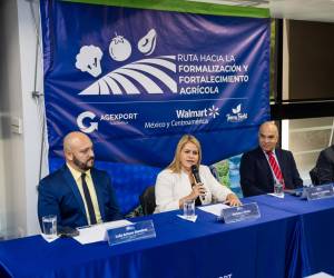 El 77 % de los beneficiarios no está formalizado y recibirá acompañamiento para integrarse a cadenas comerciales. Foto cortesía