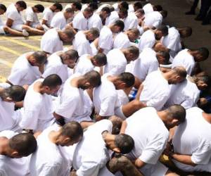 Handcuffed inmates, members of MS-13 and Barrio 18 gangs, wait upon arrival at the maximum security prison in Zacatecoluca, 65 kilometres east of San Salvador, on August 9, 2017. Forty-eight members of violent gangs arrested in connection with the murders of policemen and soldiers, were transferred on August 9 to Zacatecoluca, the Salvadoran authorities reported. / AFP PHOTO / Marvin RECINOS