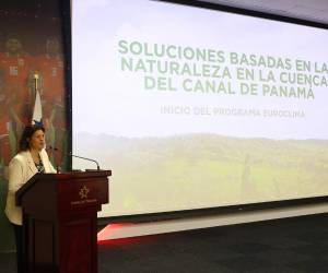 <i>La coordinadora General de la Cooperación Española en Panamá, Itziar González, habla durante el lanzamiento de un proyecto de la Unión Europea (UE) y la Agencia Española de Cooperación Internacional para el Desarrollo (AECID) para adaptar la cuenca del Canal de Panamá a la crisis climática este martes, en Ciudad de Panamá (Panamá). EFE/ Carlos Lemos</i>