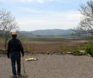 An elderly man looks at what is left of Lake Atescatempa, which has dried up due to drought and high temperatures, in Atescatempa, 174 km southeast of Guatemala City, on May 5, 2017. Clam and snail shells on sun-bleached dry, cracked earth are what is left of Lake Atescatempa, whose torquoise waters used to cover 5.5 square kilometers in southern Guatemala, but which is now a drastic reflection of the impact of climate change in Central America's so-called 'dry corridor'. / AFP PHOTO / Marvin RECINOS