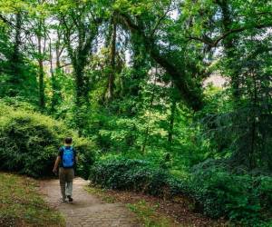 Costa Rica recibió US$16,4 millones por reducción de emisión de carbono