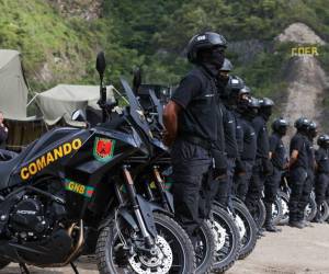 Se anunció la creación de la 'Unidad comunal miliciana de combate que abarcará un total de 15.751 de las llamadas bases populares de defensa integral. Foto cortesía