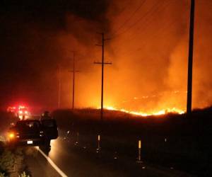 <i>Los bomberos monitorean el Incendio Rabbit mientras arde en Moreno Valley en el condado de Riverside, California, el 14 de julio de 2023. Decenas de millones de estadounidenses enfrentaban temperaturas peligrosamente altas el 14 de julio de 2023 cuando una poderosa ola de calor se extendió desde California hasta Texas, con su pico esperado este fin de semana. FOTO DAVID SWANSON / AFP </i>