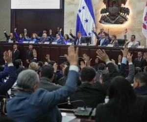 <i>La decisión fue aprobada en una sesión marcada por el rechazo de la bancada del ahora opositor Partido Libertad y Refundación (Libre, izquierda), con algunos de sus 35 diputados sonando silbatos. Foto de cortesía</i>
