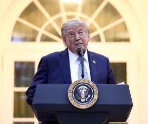 México debería hacerlo (atacar a los carteles), pero, sinceramente, ahora mismo no son capaces, aseguró Trump. (Foto: EFE)