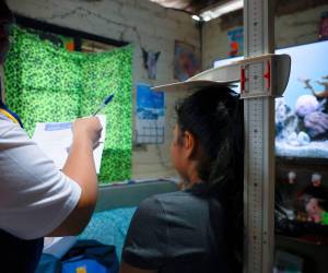 <i>A través de la ejecución de este proyecto, el país dispondrá de información actualizada sobre salud, nutrición, educación, entornos familiares, entre otros temas relevantes para el desarrollo de la niñez y adolescencia. Foto de cortesía</i>
