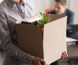 Close up view of new female employee intern holding cardboard box with belongings start finish job in company office, busnesswoman newcomer worker get hired fired on first last day at work concept