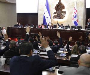 <i>La propuesta busca garantizar el respeto a la independencia de los poderes del Estado —Ejecutivo, Judicial y Legislativo— y de los organismos contralores. Foto de cortesía</i>