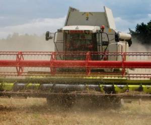 Rusia importó US$43.000 millones en alimentos el año pasado. (Foto: Reuters).