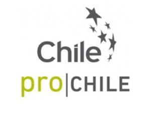 Según cifras oficiales, las exportaciones chilenas a Centroamérica y el Caribe crecieron un 17 % entre el 2009 y el 2012, hasta alcanzar los US$608 millones, de los cuales el 43% corresponde a Costa Rica.