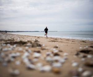 FOTO Loic VENANCE / AFP