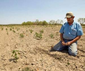 El Banco Centroamericano de Integración Económica (BCIE) dispuso una asistencia de US$250.000 para cada país. (Foto: agriculturers.com).