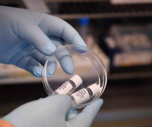 A nurse puts a syringe containing the last dose of a vial of the Pfizer Biontech vaccine into a tray at the vaccination center of German speciality chemicals company Evonik in Hanau, western Germany, on Mai 19, 2021, amid the ongoing coronavirus (Covid-19) pandemic. (Photo by THOMAS LOHNES / AFP)