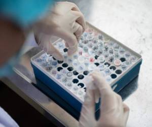 A worker is seen inside the Beijing Applied Biological Technologies (XABT) research and development laboratory in Beijing on May 14, 2020. - XABT is a Chinese company specializing in developing pathogens diagnostics, among them reagent kits for the COVID-19 coronavirus. (Photo by NICOLAS ASFOURI / AFP)