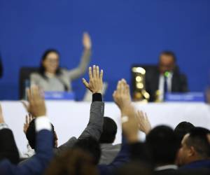 <i>Diputados votan a mano alzada en una sesión plenaria este martes, en Antiguo Cuscatlán (El Salvador). La Asamblea Legislativa de El Salvador, dominada por el oficialista Nuevas Ideas (NI), aprobó la Ley de Agentes Extranjeros que establece un impuesto del 30 % a las donaciones de organizaciones no gubernamentales. EFE/ Rodrigo Sura</i>
