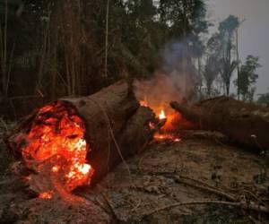 View of fire in the Amazon rainforest, near Abuna, Rondonia state, Brazil, on August 24, 2019. - President Jair Bolsonaro authorized Friday the deployment of Brazil's armed forces to help combat fires raging in the Amazon rainforest, as a growing global outcry over the blazes sparks protests and threatens a huge trade deal. (Photo by CARL DE SOUZA / AFP)