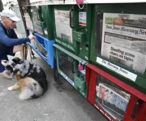 68% de profesionales de medios encuestados piensa que de aquí a diez años ningún diario seguirá publicándose en edición papel los siete días de la semana.