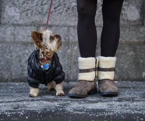 <i>FOTO ozgurdonmaz / Getty Images/iStockphoto</i>