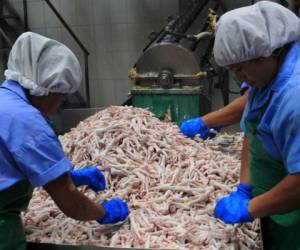 Las tendencias hacia la baja han tenido beneficios directos en la economía nacional, especialmente en los costos de producción. (Foto: laprensa.hn).