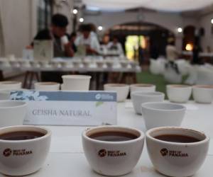 <i>Fotografía de tazas con cafés Geishas durante la final del 'Best Of Panamá 2025' este sábado, en Boquete (Panamá). Los Geishas de la Hacienda La Esmeralda volvieron a hacer historia en la competencia anual 'Best of Panama 2025', al establecer dos nuevos récords mundiales: uno de 98 puntos en la categoría Geisha Lavado y otro de 97 puntos en Geisha Natural, ambos sobre la base de 100 puntos, una calificación jamás alcanzada por un café de especialidad en ninguna competencia internacional. EFE/ Marcelino Rosario</i>