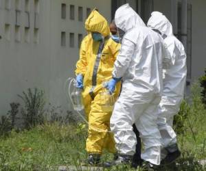 Municipal firefighters transfer a patient infected with the novel coronavirus, COVID-19, at San Vicente National Hospital in Guatemala City on May 23, 2020. - The pandemic has killed at least 338,128 people worldwide since it surfaced in China late last year, according to an AFP tally at 1100 GMT on Saturday based on official sources. (Photo by Johan ORDONEZ / AFP)