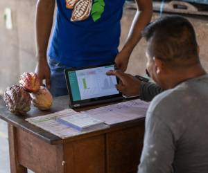 Las empresas tecnológicas emergentes recibirán acompañamiento técnico, mentoría y una subvención no reembolsable de US$90.000 para adaptar sus modelos de negocio y ampliar el impacto en las comunidades rurales. Foto de cortesía