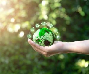 <i>Varios proyectos están vinculados a evitar la deforestación de bosques que estaban en riesgo de desaparecer, así como a la reforestación, agricultura regenerativa y energías renovables. Foto de Dilok Klaisataporn / Getty Images</i>
