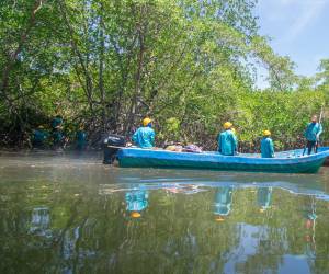 Las labores de restauración en el estero de Jaltepeque incluyen la recuperación de canales y la regeneración del manglar, como parte de la iniciativa Cuenta del Mar de Bancoagrícola, Mastercard y Fundación Doménech.