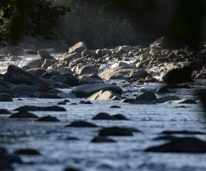 <i>Fotografía donde se muestra el cause del río Orosi, en la reserva natural de Tapanti, en la provincia de Cartago (Costa Rica). EFE/ Jeffrey Arguedas</i>