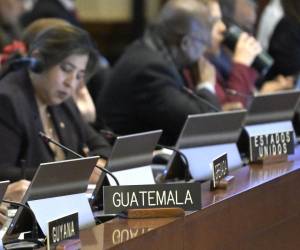 <i>Representantes permanentes de los países miembros de la Organización de los Estados Americanos (OEA) participan en una sesión ordinaria del Consejo Permanente este miércoles, en Washington (Estados Unidos). La OEA aprobó una resolución que insta a todas las instituciones de Guatemala a respetar la Constitución del país y los principios democráticos, en medio de las denuncias del presidente, Bernardo Arévalo de León, sobre un golpe de Estado judicial en el país. EFE/Lenin Nolly</i>