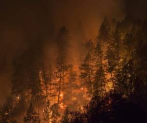 NAPA, CA -OCTOBER 12: Wildfire creeps through the forest, down the south side of Dry Creek Canyon, at the Partrick Fire on October 12, 2017 west of Napa, California. Thousands of homes have burned, at least 31 people confirmed killed with hundreds still missing as California wildfires continue to spread out of control. David McNew/Getty Images/AFP
