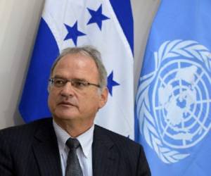 Cristof Heyns, relator de Naciones Unidas para ejecuciones extrajudiciales sumarias y arbitrarias.