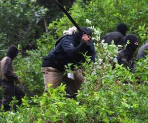 Honduras enciende alarmas al pasar de puente a productor de cocaína