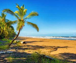 FOTO Playa de Tortuguero, Costa Rica / Artush / Getty Images/iStockphoto