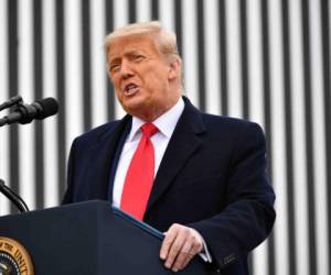 El presidente de los Estados Unidos, Donald Trump, habla después de recorrer una sección del muro fronterizo en Alamo, Texas, el 12 de enero de 2021. (Foto de MANDEL NGAN / AFP)