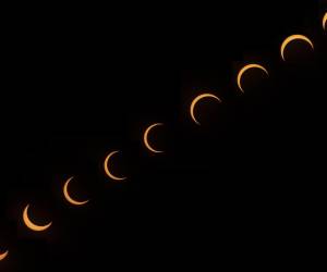 Su mascota puede participar en un experimento de la NASA durante el eclipse solar